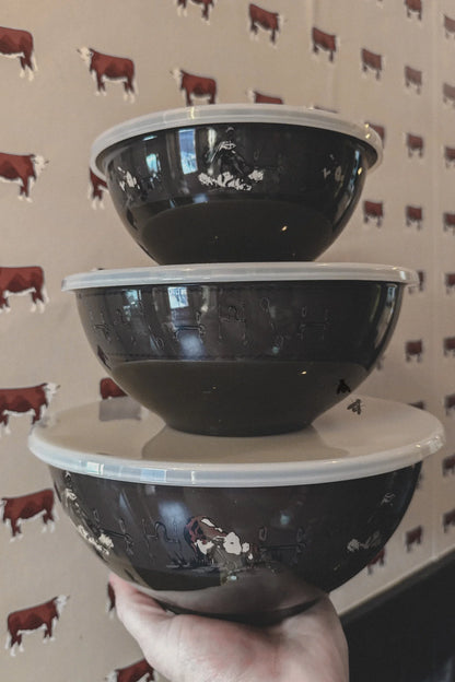 Super Fly Bowl Set *Western*