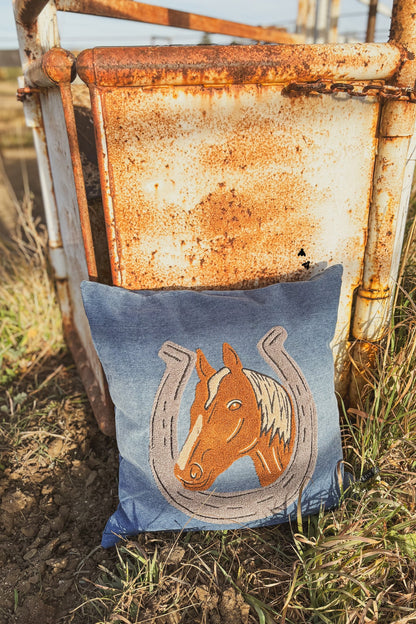 Denim Darlin’ Pillow Cover