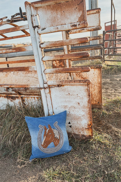 Denim Darlin’ Pillow Cover