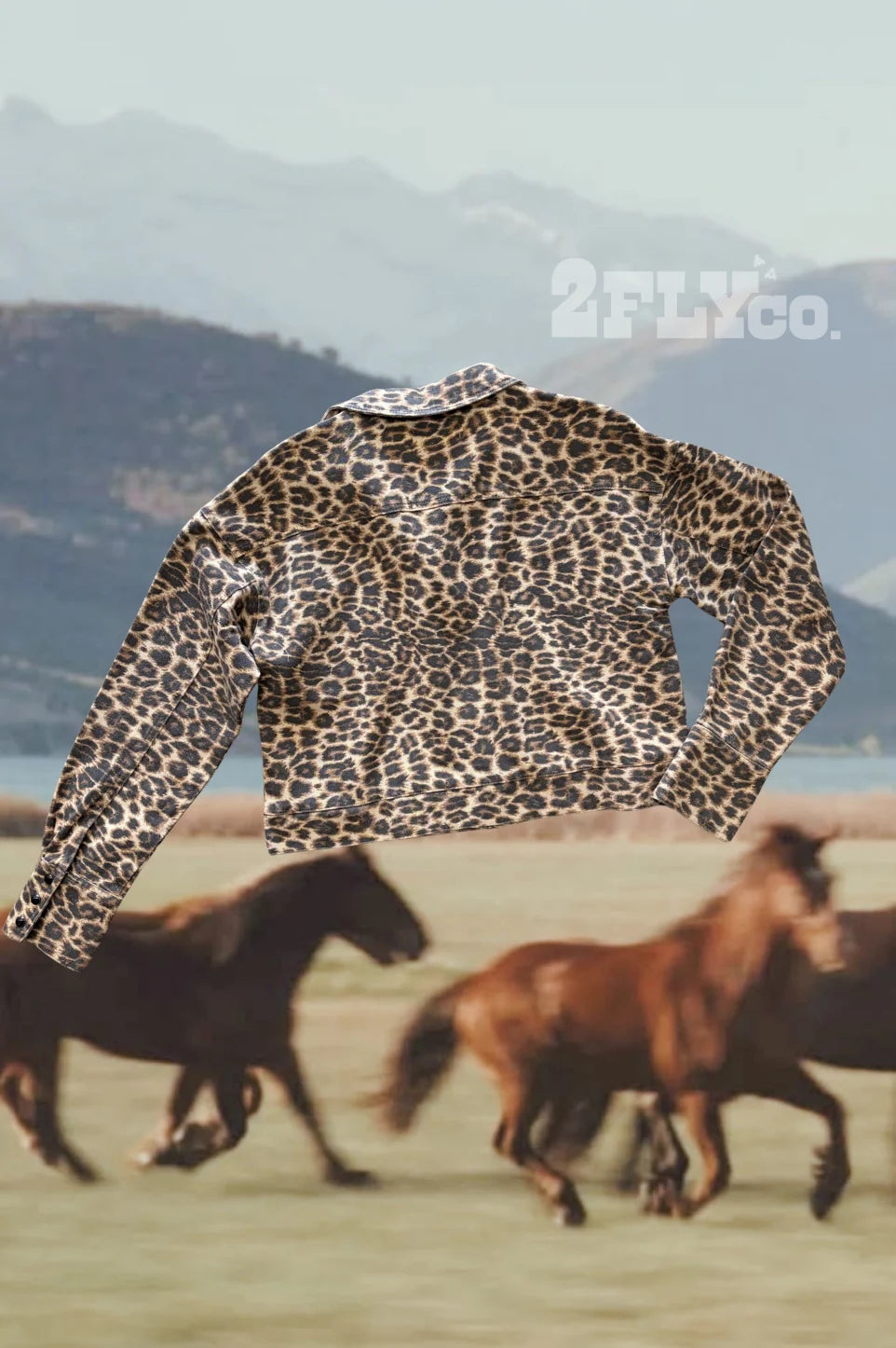 Canyon Cat Jacket