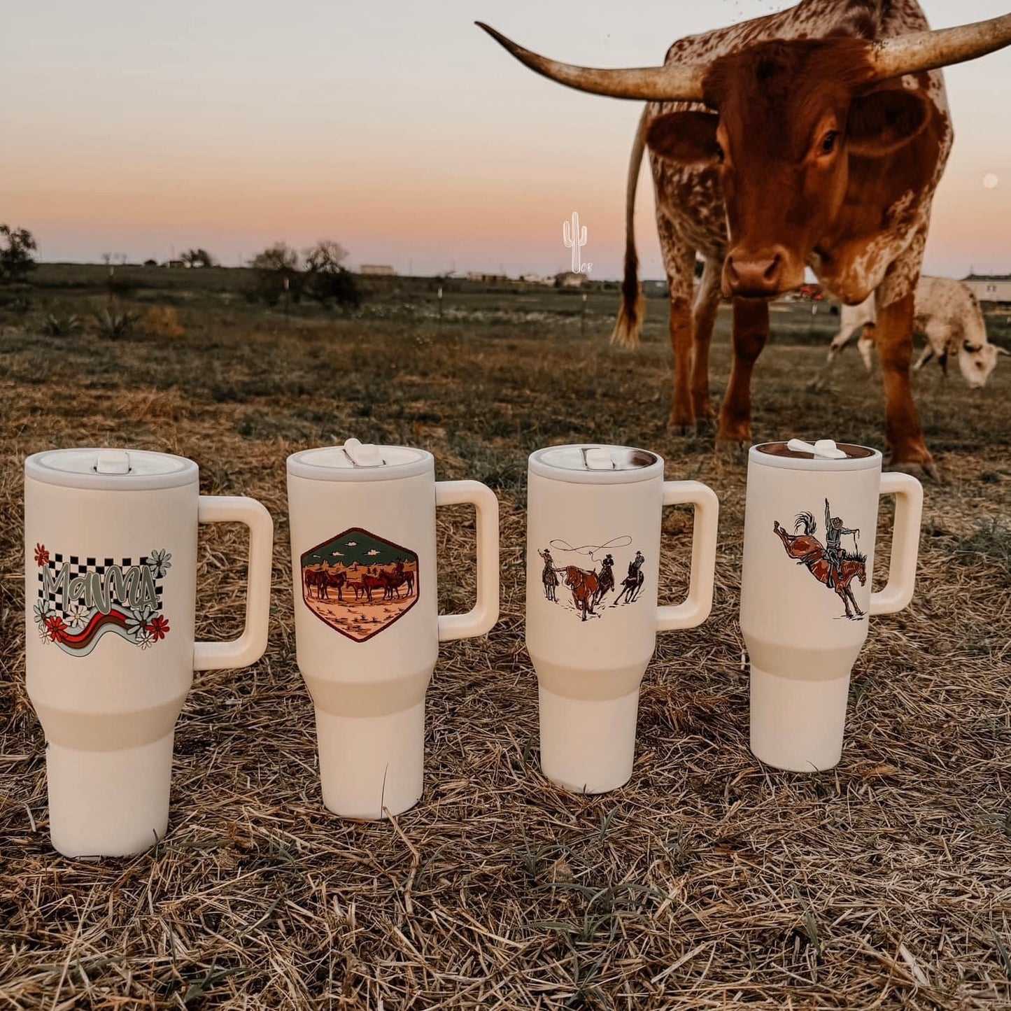 PREORDER Cowpoke Tumblers *4 Styles* (SHIPS TO ME: BEGINNING/MID DECEMBER)