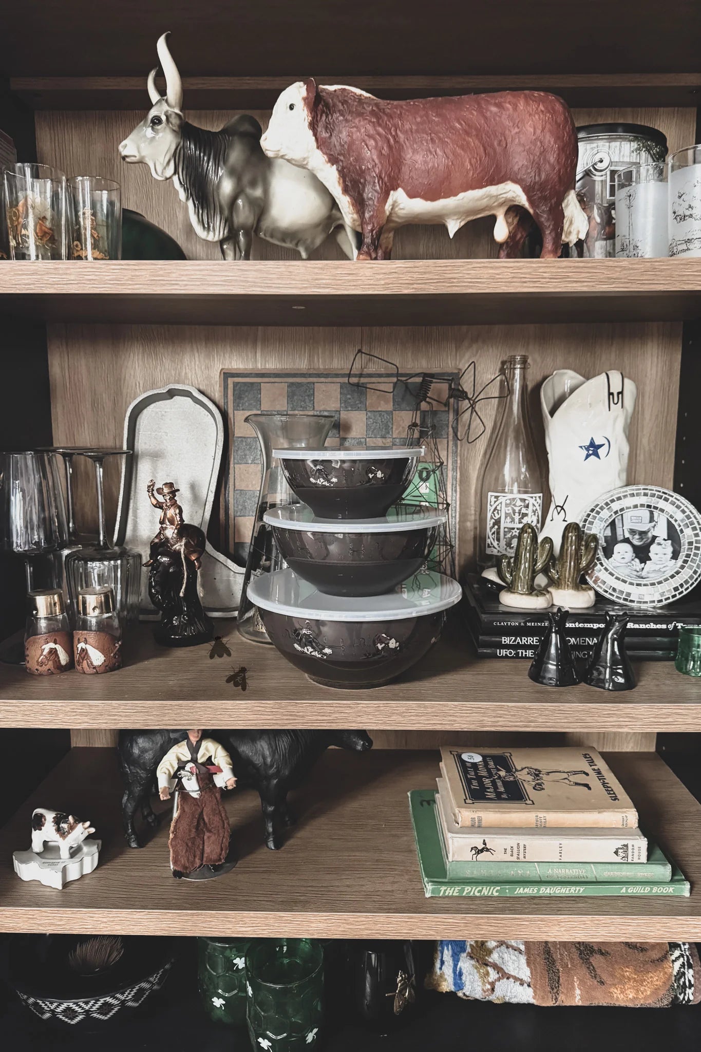 Super Fly Bowl Set *Western*