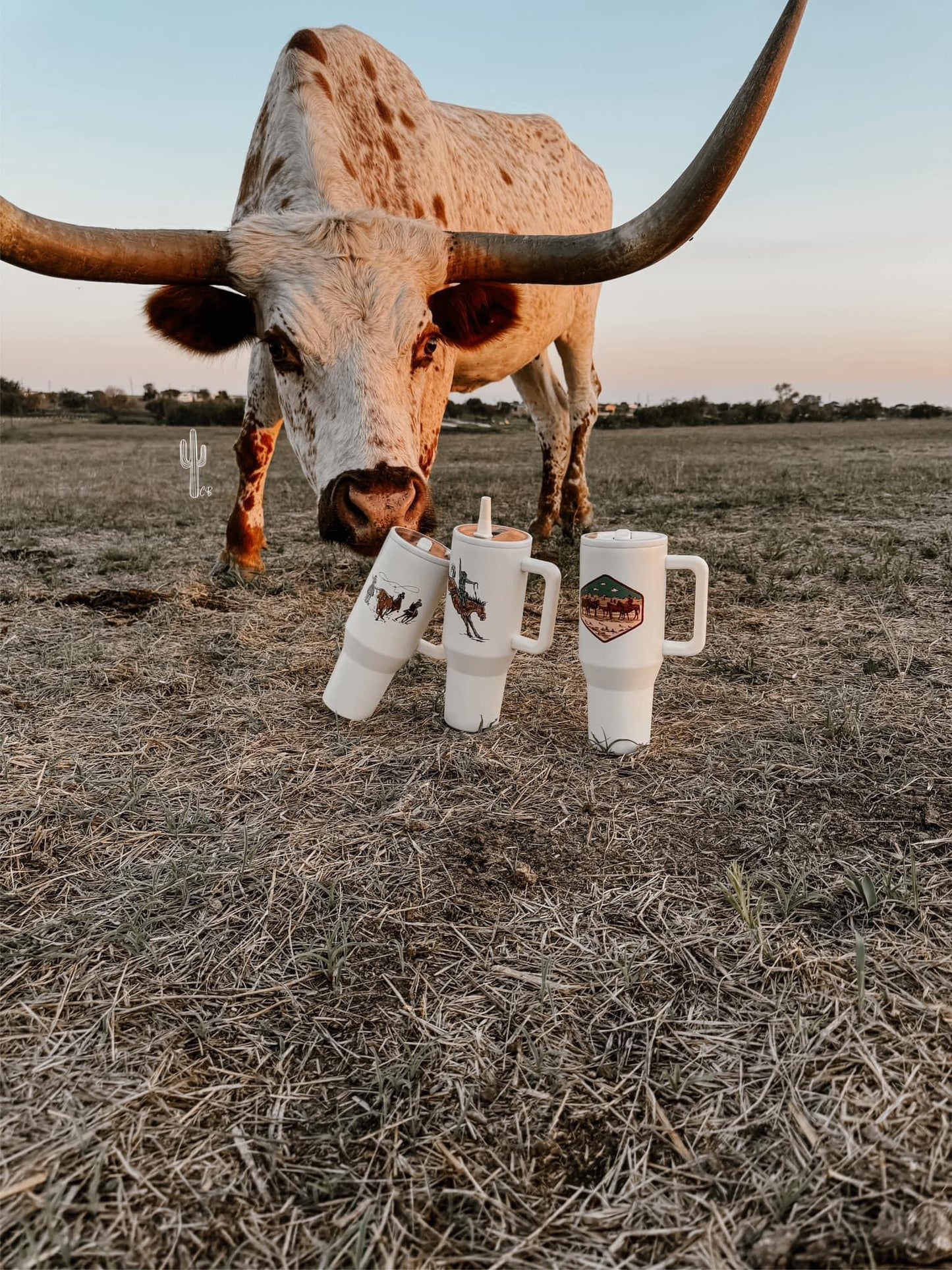 PREORDER Cowpoke Tumblers *4 Styles* (SHIPS TO ME: BEGINNING/MID DECEMBER)