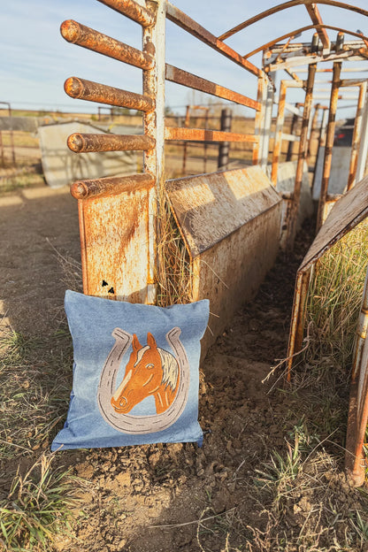 Denim Darlin’ Pillow Cover